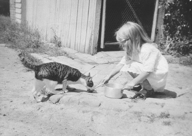 A black-and-white photograph of a young girl feeding a cat outside