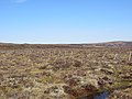 Thumbnail for File:Fence over the moorland - geograph.org.uk - 2967347.jpg