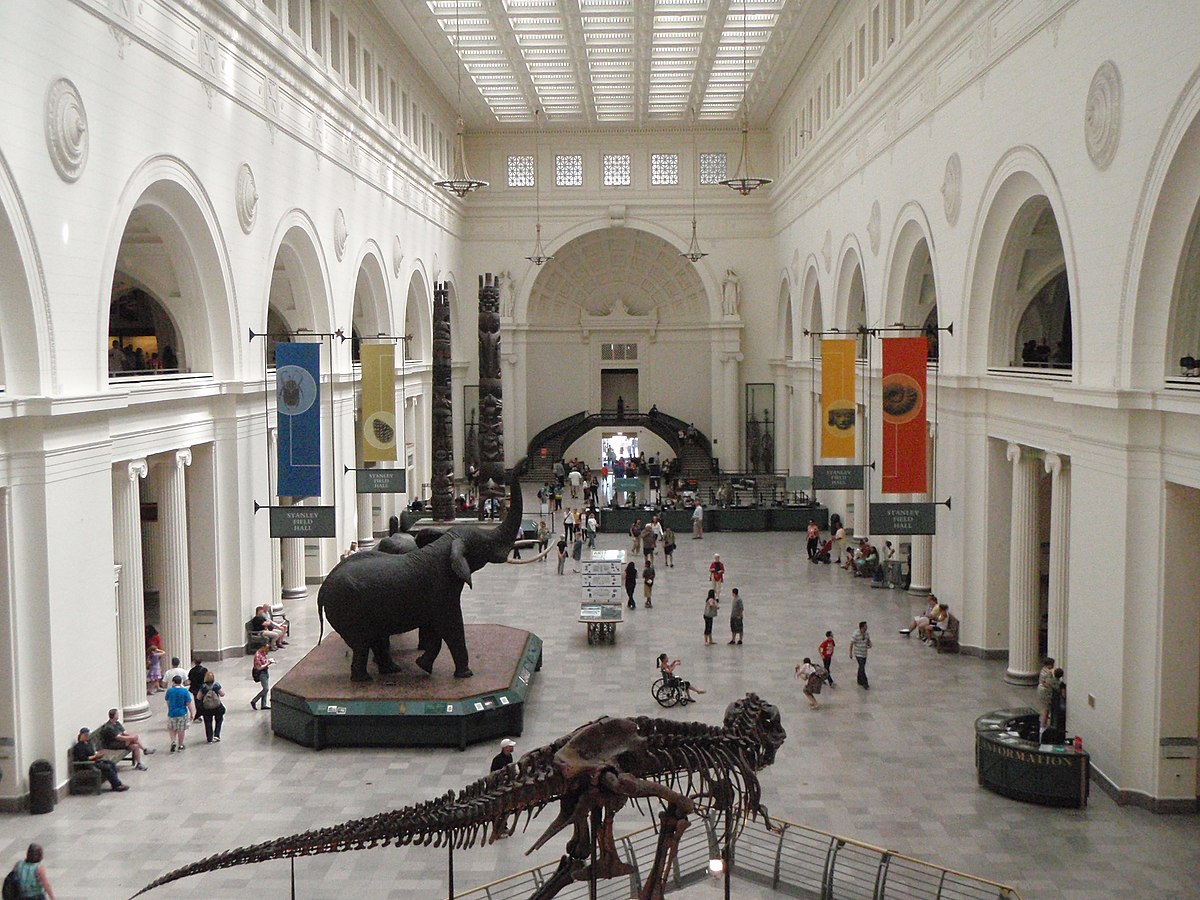 Field museum. Исторический музей полевкой. Museo field. Field Museum jobs.