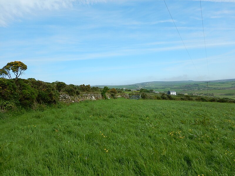 File:Field near Bodinnar Farm - geograph.org.uk - 5030732.jpg