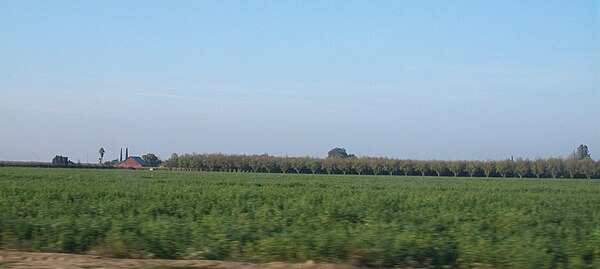 Various agriculture fields in Turlock