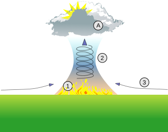 File:Firestorm thermal column.svg