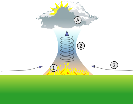 Firestorm schematic: (1) fire, (2) updraft, (3) strong gusty winds, (A) pyrocumulonimbus cloud