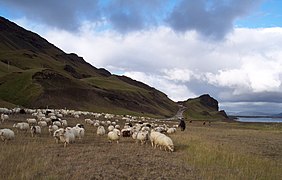 Géographie De L'islande: Situation, Géographie physique, Géographie humaine