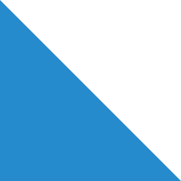 صورة:Flag of Canton of Zürich.svg