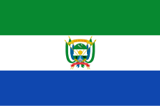 Flag of Guaviare.svg