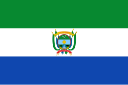 Flag of Guaviare.svg