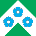 Vlag van de gemeente Mooste