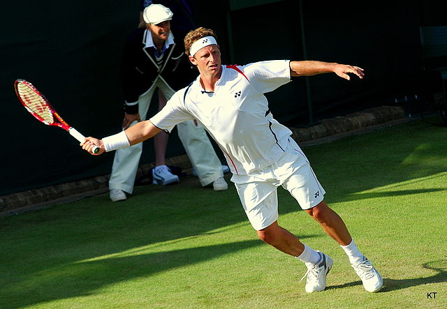 David Nalbandian at the 2011 Wimbledon Championships