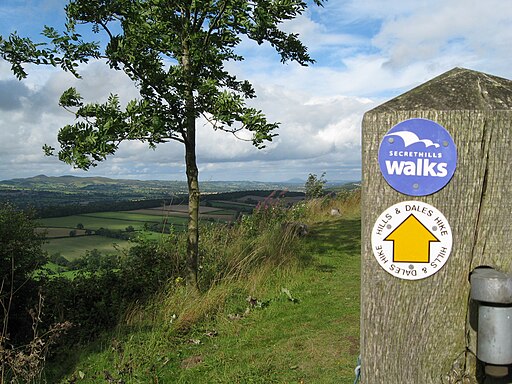 Flounders Folly walk this way - Lower Dinchope, Shropshire - geograph.org.uk - 4862637