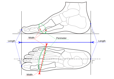 Mens Shoe Width Chart Uk