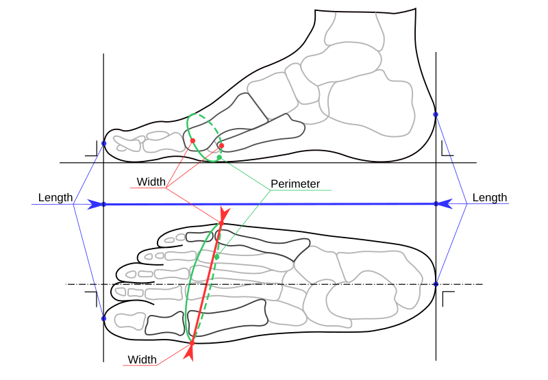 File:Foot width and length measurement for Mondopoint (multilingual).svg