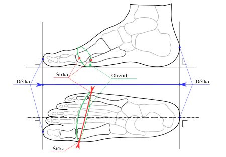 Foot width and length measurement for Mondopoint (multilingual).svg