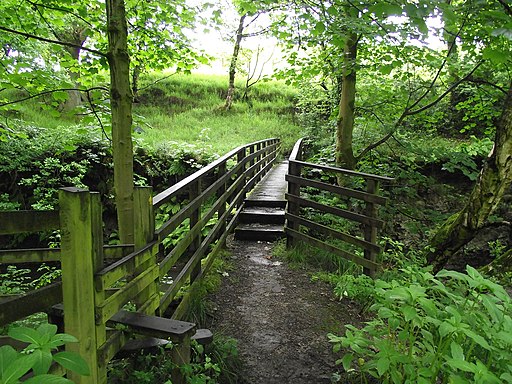 Footbridge on Reelers Trail - geograph.org.uk - 2434095