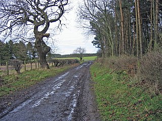 <span class="mw-page-title-main">Acklington Park</span> Human settlement in England