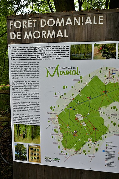 File:Forêt de Mormal 15.jpg