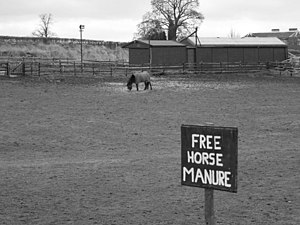 https://upload.wikimedia.org/wikipedia/commons/thumb/9/9b/Free_horse_manure%5E_-_geograph.org.uk_-_493126.jpg/300px-Free_horse_manure%5E_-_geograph.org.uk_-_493126.jpg