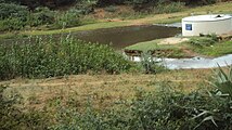 Gadananathi River passing near Sivasailam