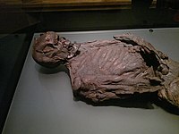 List Of Bog Bodies