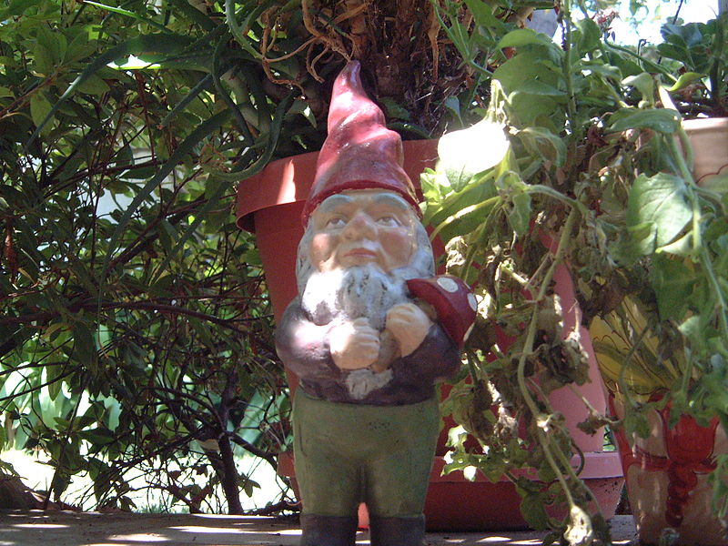 File:Garden gnome.JPG