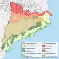 Miniatura de la versión de 15:34 15 abr 2008