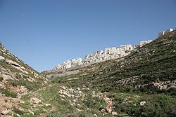 Vista desde el wadi