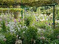 Monetova zahrada, Giverny