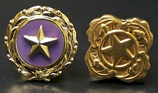 <span class="mw-page-title-main">Gold Star Lapel Button</span>