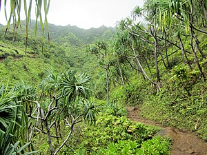 Kauaʻi: Geographie, Klima, Geschichte