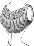 Vignette pour Brassière (lingerie)