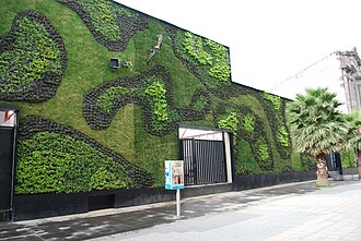 Green wall at the Universidad del Claustro de Sor Juana in the historic center of Mexico City. GreenWallUCSJ01.JPG