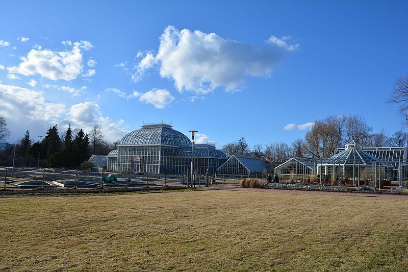 File:Greenhouse 21 4 2017 Kaisaniemi 0100.jpg