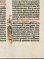 Gutenberg Bible - detail from the New Testament (5371921755).jpg