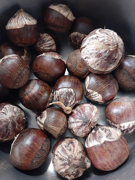 File:HK food 栗子 Chestnut brown fruit February 2021 SS2 01.jpg