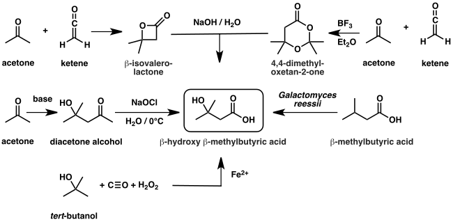 Diagram of HMB synthetic routes