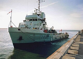 HMCS <i>Anticosti</i> (MSA 110)