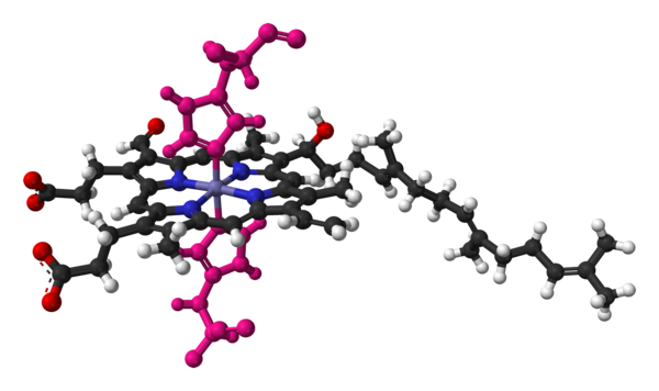 Haem-a-in-cyctochrome-c-oxidase-PDB-1OCR-3D-balls-C.png