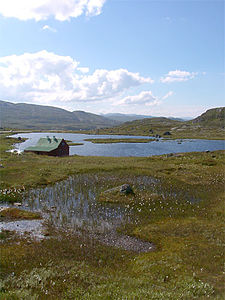 Hardangervidda no verão