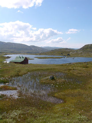 <span class="mw-page-title-main">Hardangervidda</span> Mountain plateau in Norway