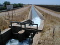 Fotografia d'un canau d'irrigacion destinat a l'agricultura