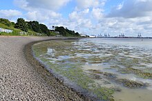 Harwich Foreshore 4.jpg