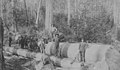 Hauling logs to landing at Simpson's logging camp, Washington, probably between 1895 and 1900 (INDOCC 1946).jpg