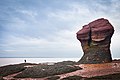 Hopewell Rocks bei Niedrigwasser