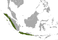 Distribución da especie