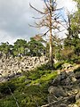 Čeština: Přírodní památka Hřebenec, nedaleko Rožmitálu pod Třemšínem v okrese Příbram (ČR) English: Natural monument Hřebenec, near Rožmitál pod Třemšínem in Příbram District (Czech Republic)