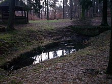 Der Hundsschwemm bei Jägersburg