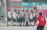 Vignette pour Équipe de Hongrie de bandy