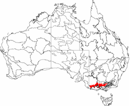 IBRA 6.1 Victorian Midlands.png