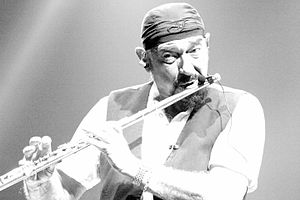 Ian Anderson Münih 2014.JPG