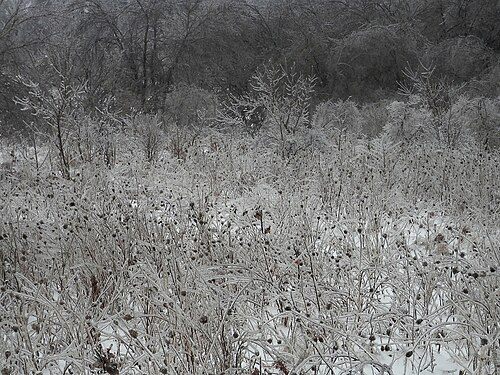 2013 Ice Storm